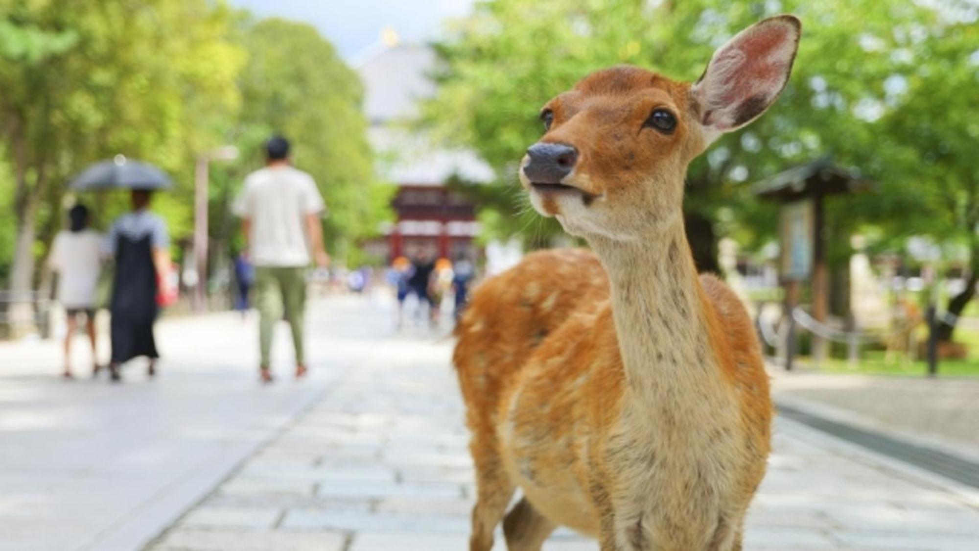 Hotel Arashi Nambaminami Osaka Zewnętrze zdjęcie